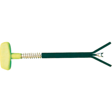 After Dark Eel Killer