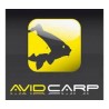 Avid Carp